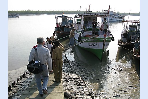 Viaggio in India 2008 - Sunderbans